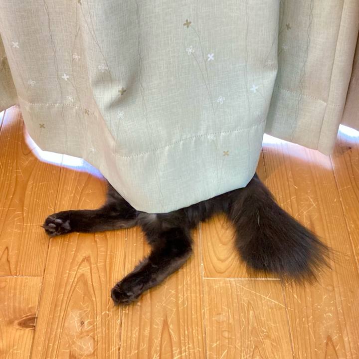 Af9f10d6 e482 4d77 8c6a 94c425b177c0 1753939363431