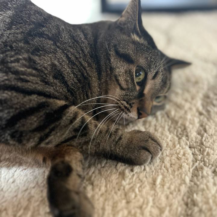 Af9f3702 dce9 445a b5ef c247ab3d3625 1743078243210