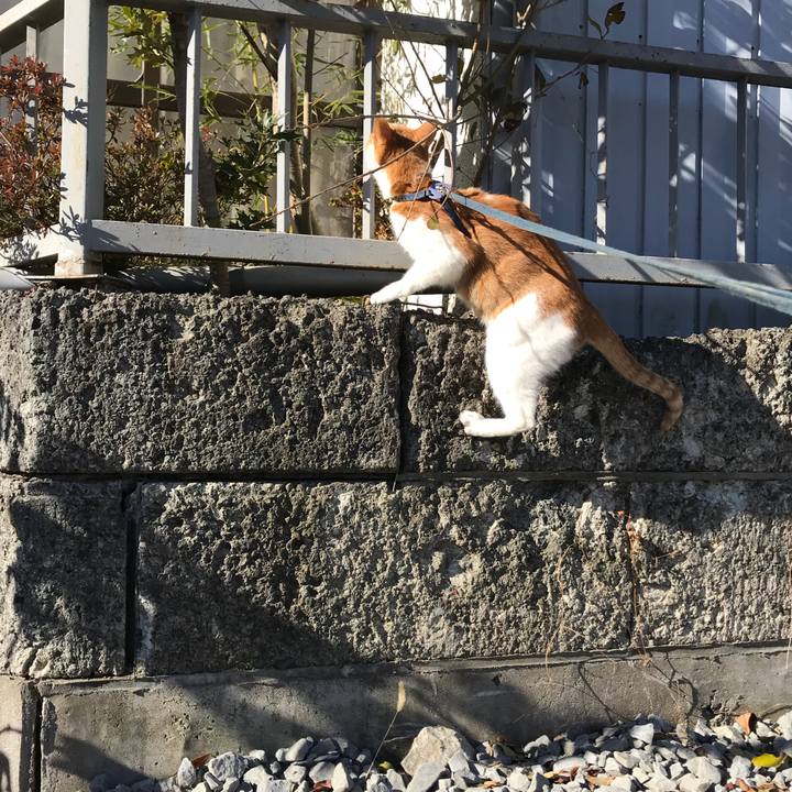 Af9f3aa1 4fd4 4cb8 8e41 24522119abe8 1514782789203