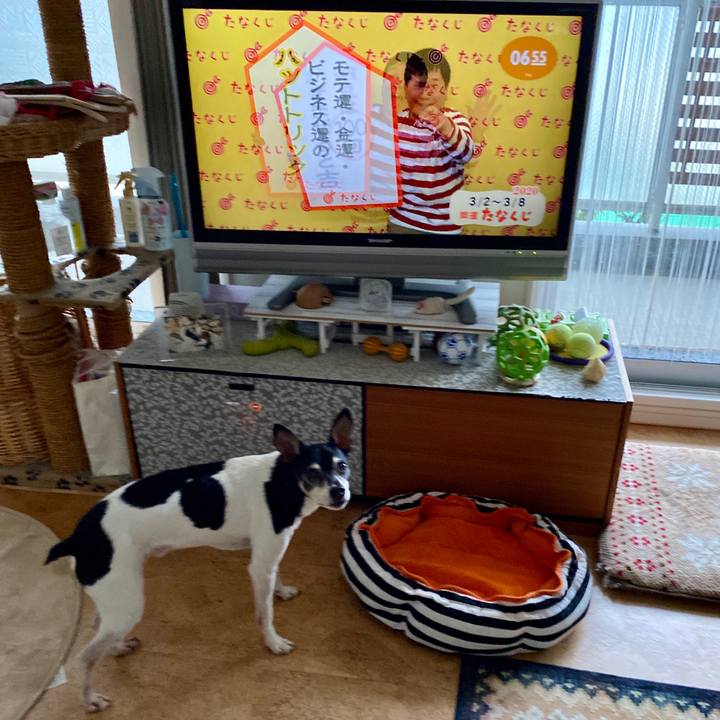 Af9f432f b422 4be7 87cd 4b01880329a4 1583100282805