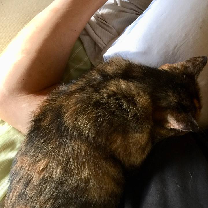 Af9fa0b3 9a9f 4490 986a 38fa052b635a 1631143046318