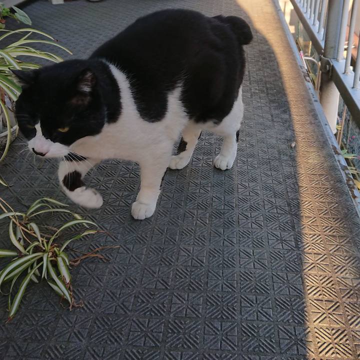 Af9fb766 e492 4763 8efe 6a80fabf29aa 1552535436647