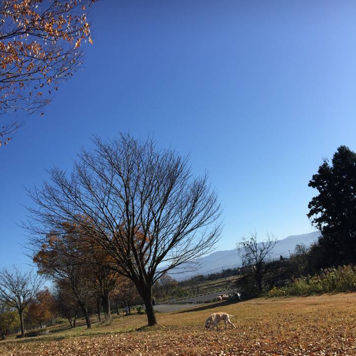 Af9fe3b4 c9d6 4f87 b657 cc43854a93b5 1543715766179