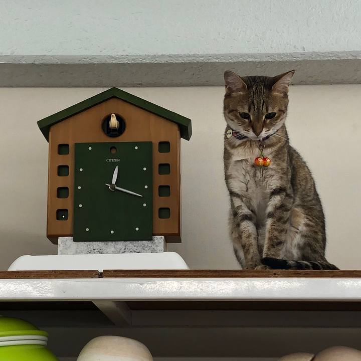 Af9fefa9 36bd 4c58 b592 307bb23b6523 1656559480017