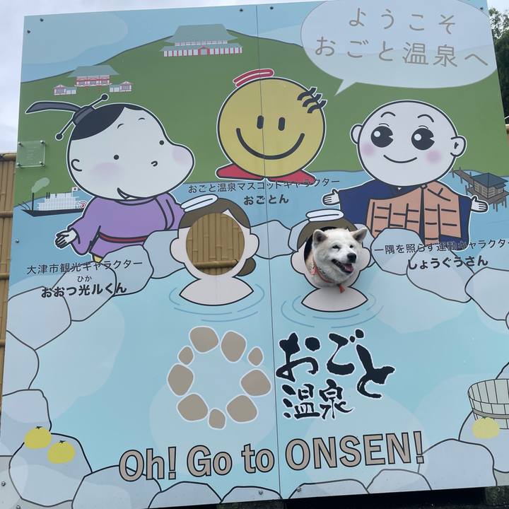 Afa009e8 84db 40d7 a727 716defb5e48e 1689085609539