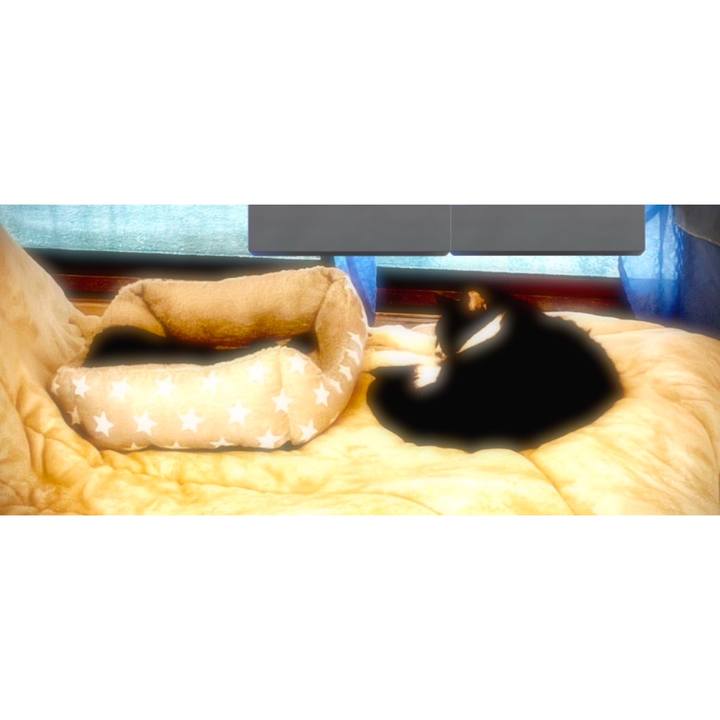 Afa06056 3f30 4130 830c 7b1fa9492009 1733615859086