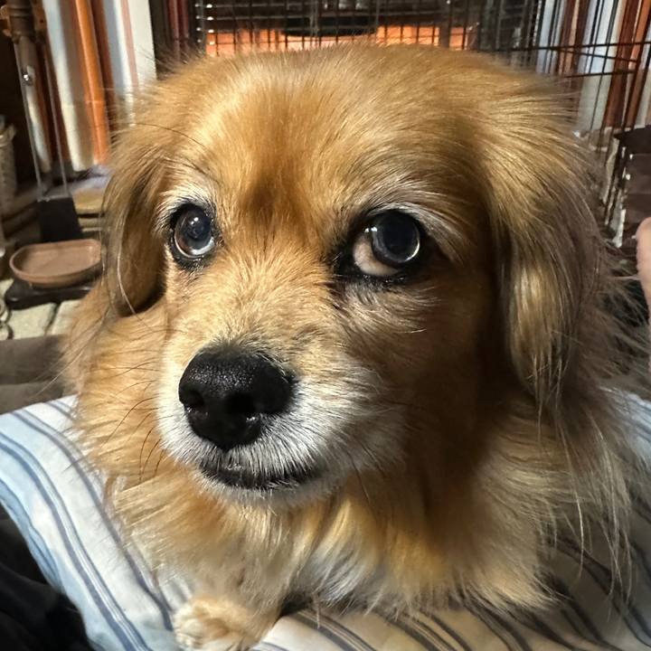 Afa066bd 001c 4129 a48e 6252504a9b0e 1740086827997