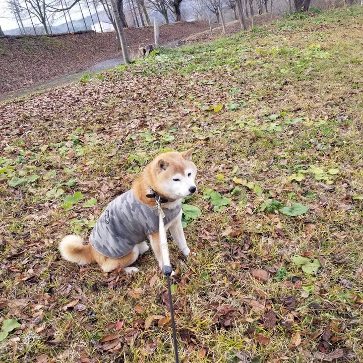 Afa072d0 3810 4f29 99bb fd1494dfa10d 1701238218926