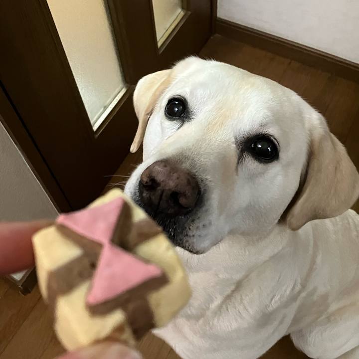 Afa1357d 1d83 44ad 8c07 156dcdfb305c 1677633429638