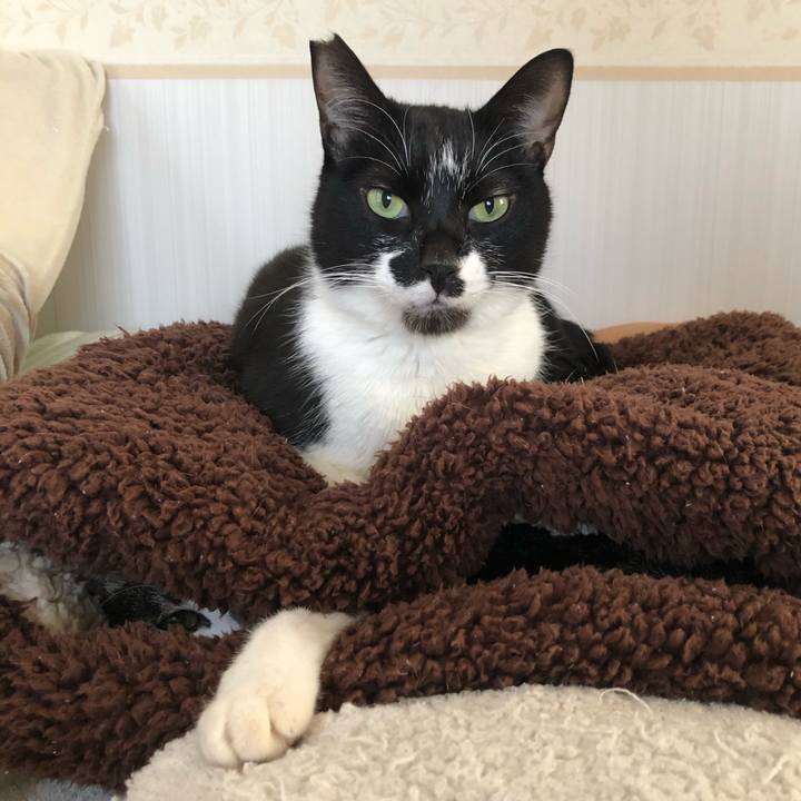 Afa135c5 d8c1 4781 a33b 24d2c9f8b0a0 1611635268874