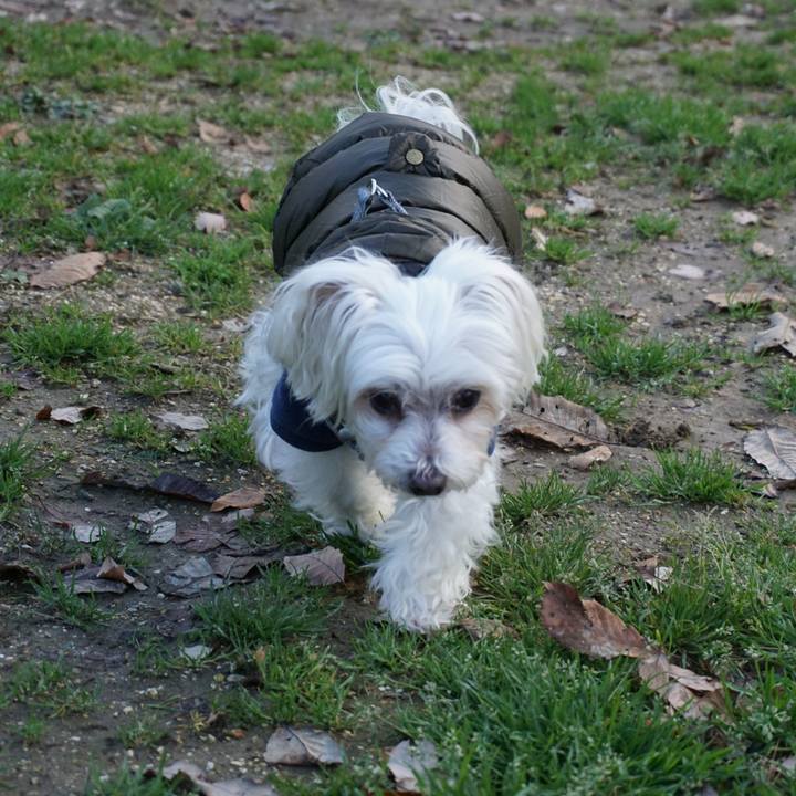 Afa13a98 14fc 4183 af00 a9eac8c39f66 1517214968775