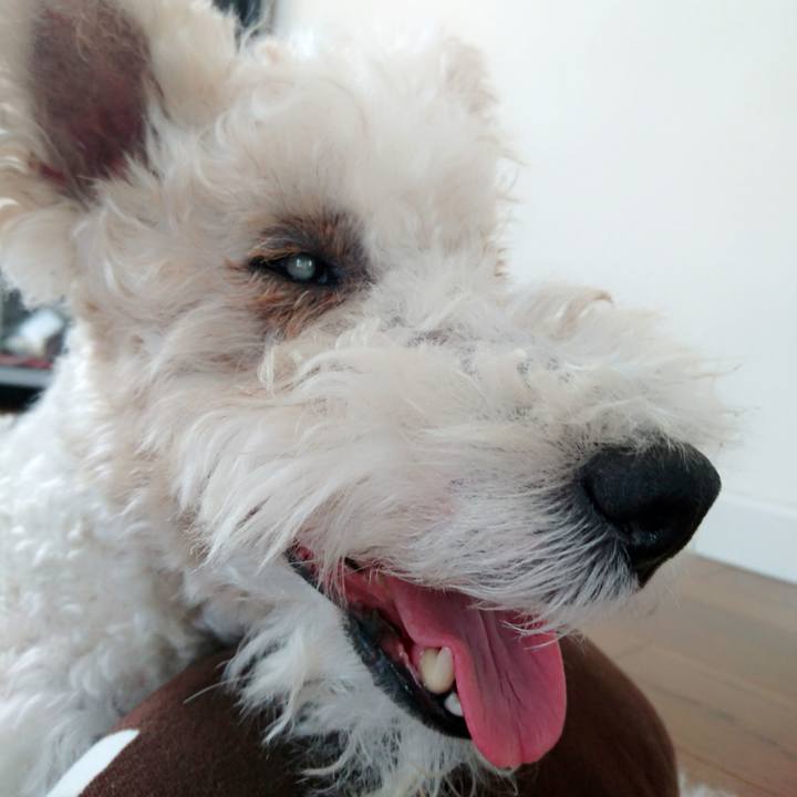 Afa14c75 c078 4aaa 9cab d18b0da2c8d1 1528090726035