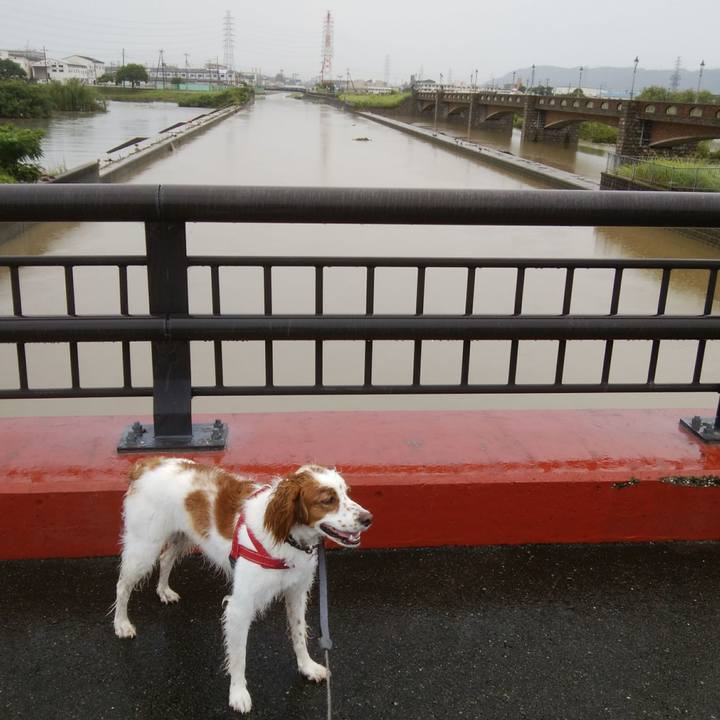 Afa1a482 5dc0 4f47 a28e 6d706533a5f7 1530866527976