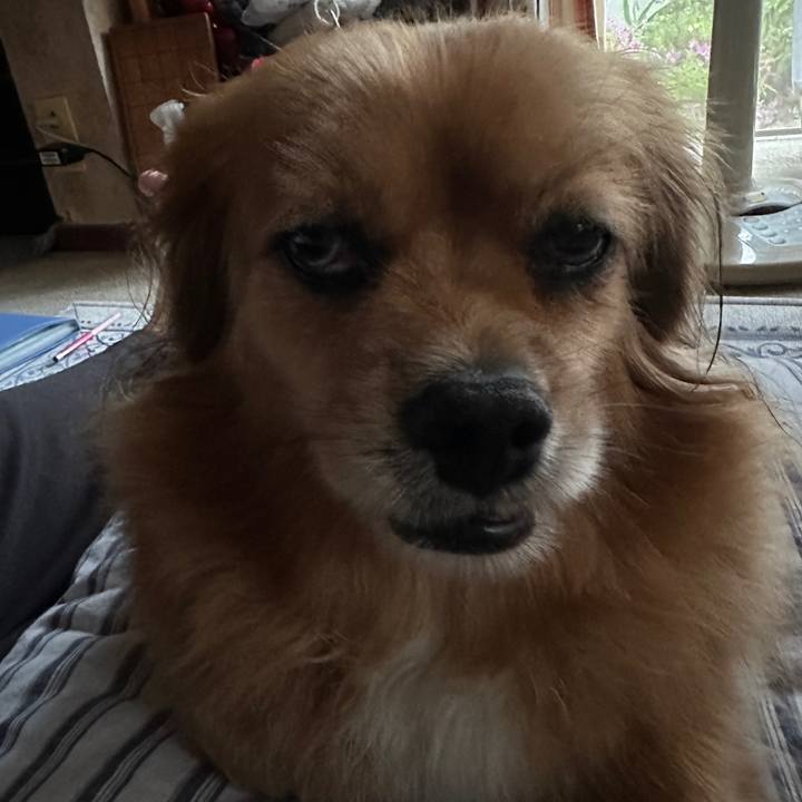 Afa1c732 a138 45ee ae80 fe98c6edf74a 1692824512167