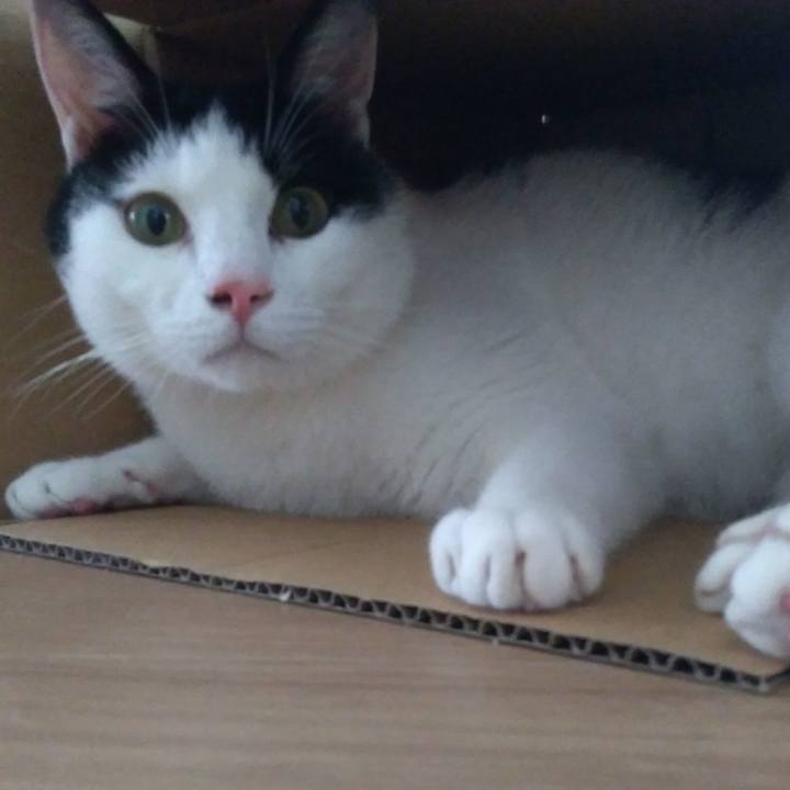 Afa1cd59 fea4 4338 ba90 0f209c588852 1528621443974