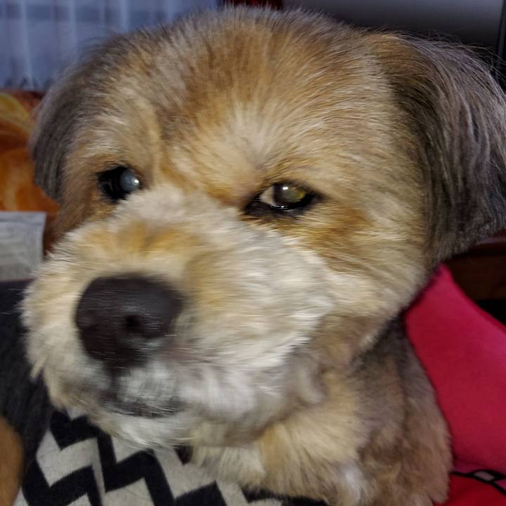 Afa20921 0ceb 4eec 80e9 8f125e107c10 1642926119142