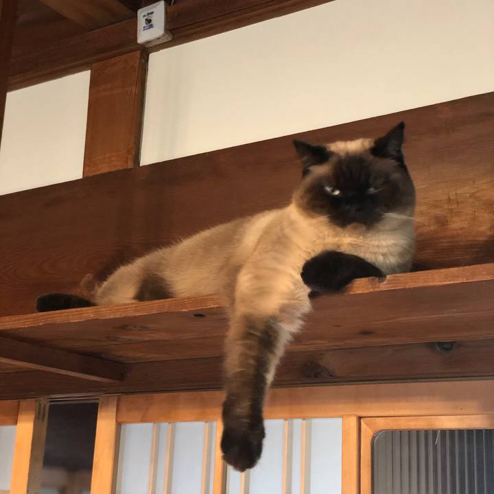 Afa21c92 a4d2 4422 a884 1f0836cca926 1620087680349