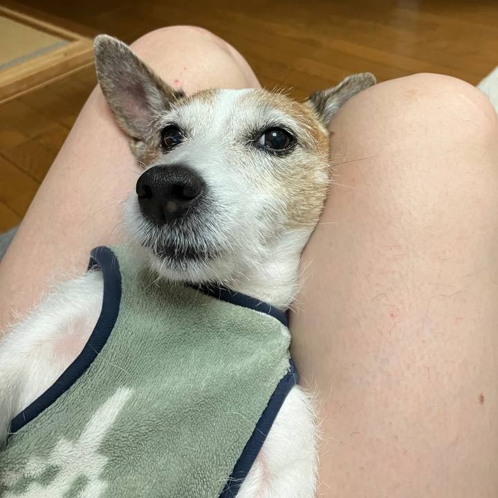 Afa2731e 7ce6 42ae ab2f eebd8d2c0b7e 1733268382724