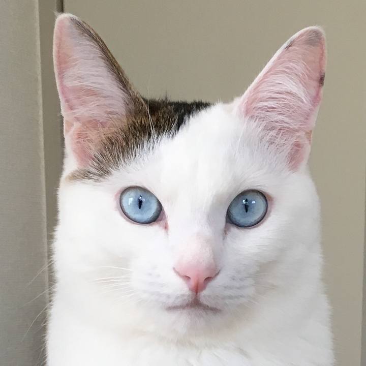 Afa28b4d 7c71 4f88 85d4 27d188f83ac4 1520061381112