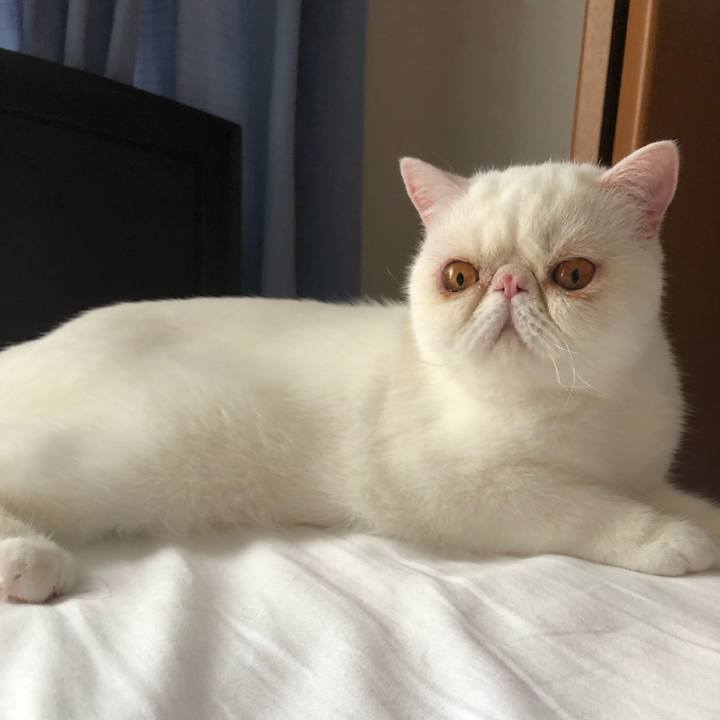 Afa2c1fe a431 480c 97fe d632b6031f24 1595253123632