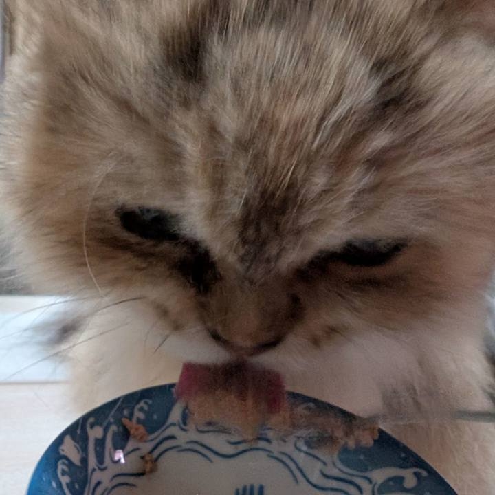 Afa30792 3f26 4c41 9cfa 47a3f6249996 1758342146937