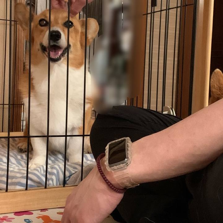 Afa319be 6cdb 498c ae31 9e7dcd9e16f6 1625381249254