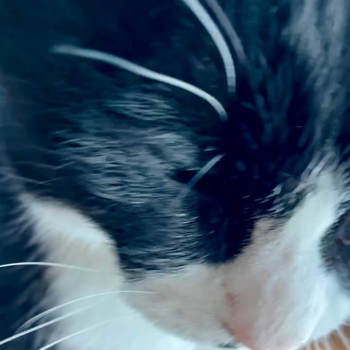 Afa33997 ffa0 43ba 93bc 830676ae40cf 1763776554261