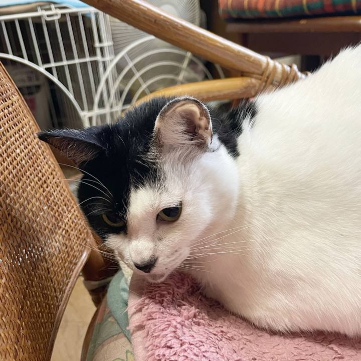 Afa34453 ef63 40bf 847c 54c714515f1e 1768949433943