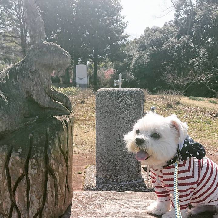 Afa34cb0 84a0 4703 979b d380e2a614eb 1615353599094