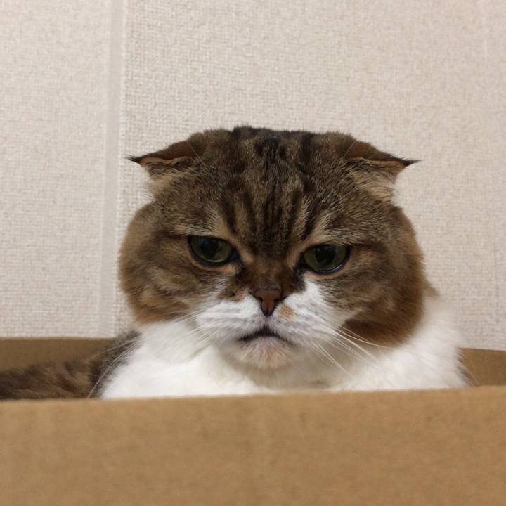 Afa35ae2 d864 4bae a33d af0016158f57 1537070013700