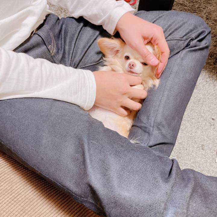 Afa37136 e08f 486e bb43 6b20844ee77b 1665274413066