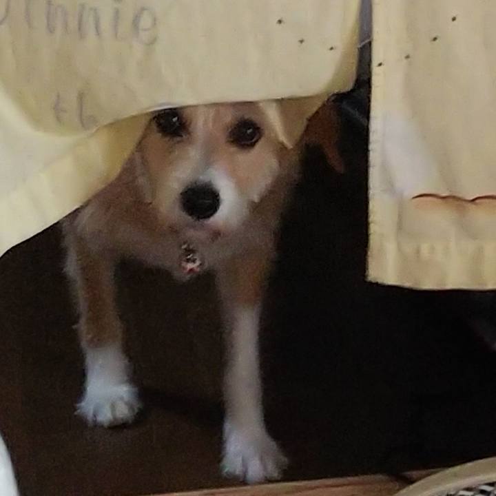 Afa37c3b 2e43 430f a918 5a909da417cf 1531102630681