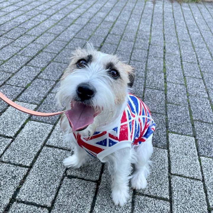 Afa39e52 d8aa 4ac1 984c 38e3f8371609 1662298899113