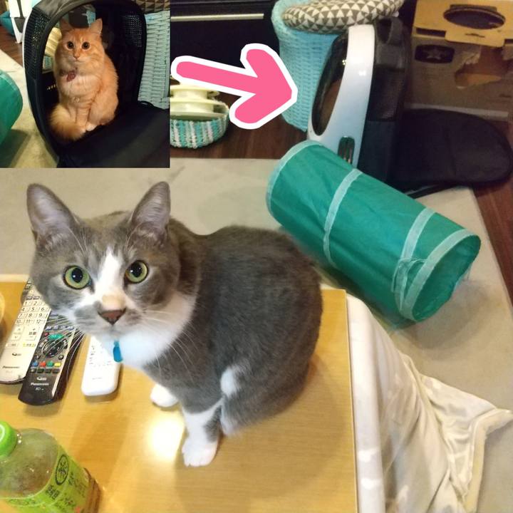 Afa3ad89 c53a 4aba 8f1a b597b94dd835 1637834495387