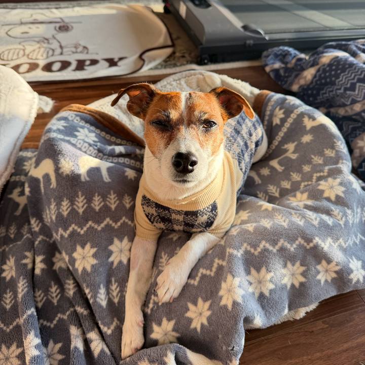 Afa3d0b7 347e 4f32 a59c ef4cf7549f80 1773965443001