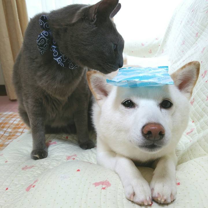 Afa3dd2e 188d 4972 91a7 8927502ad6d9 1558829709174