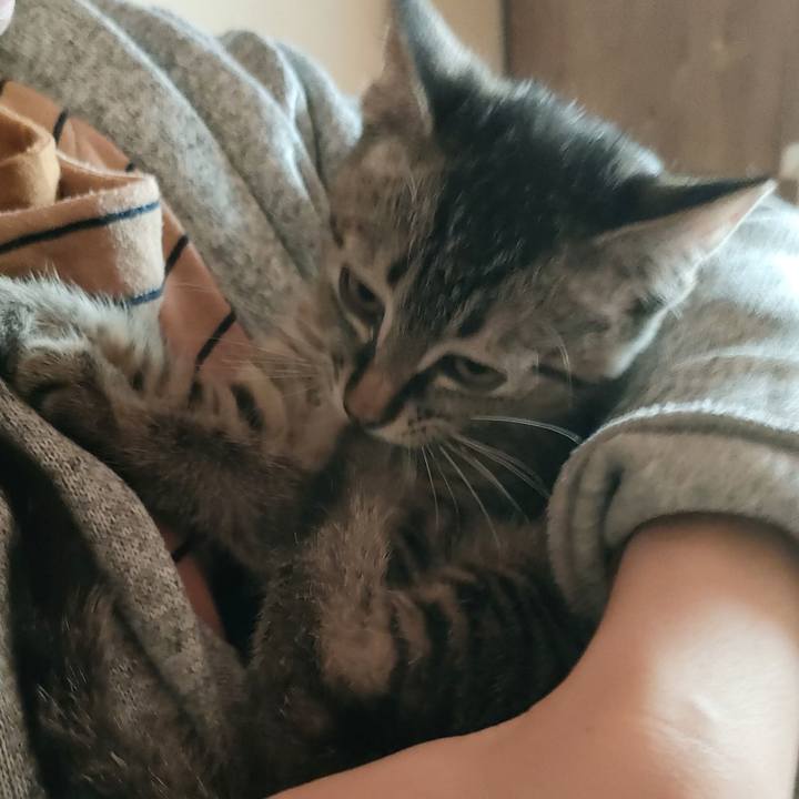 Afa43201 a336 4ba2 a589 a2ecc2826e29 1700969280418