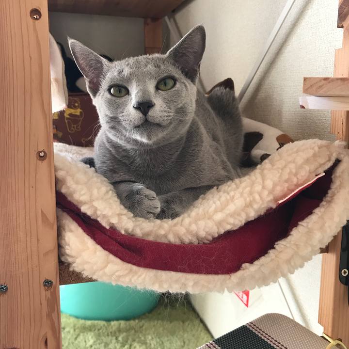 Afa45f8e ba62 4714 943f 72d6fb7427ca 1513264349645