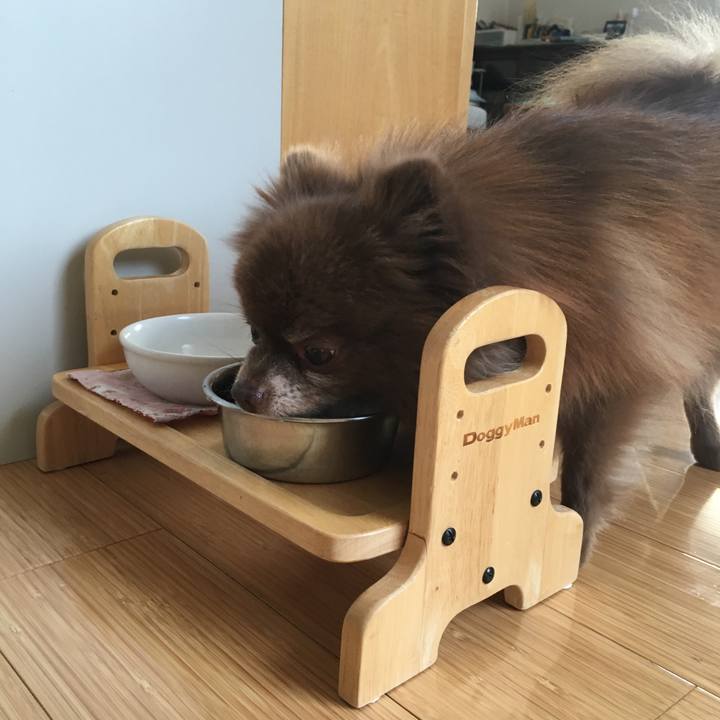 Afa49d4a 1199 4858 8f5b ef2a8bc9a627 1520719967660