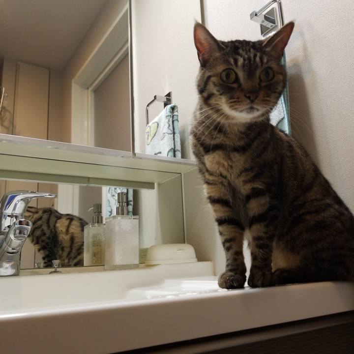 Afa4c5d2 afeb 487d 882b 260f2e6a99cd 1591182577784