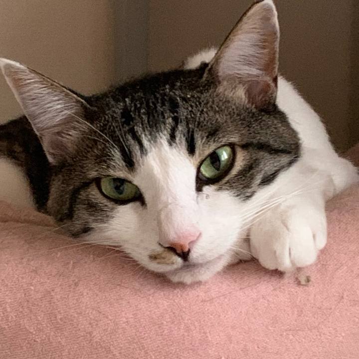 Afa4e58d a458 44b3 9696 24ae9915c6cc 1726303672270