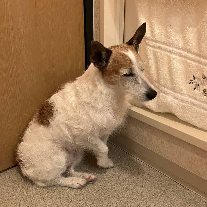 Afa50059 3e05 4104 9c2a 015bd35f3f85 1740288536387