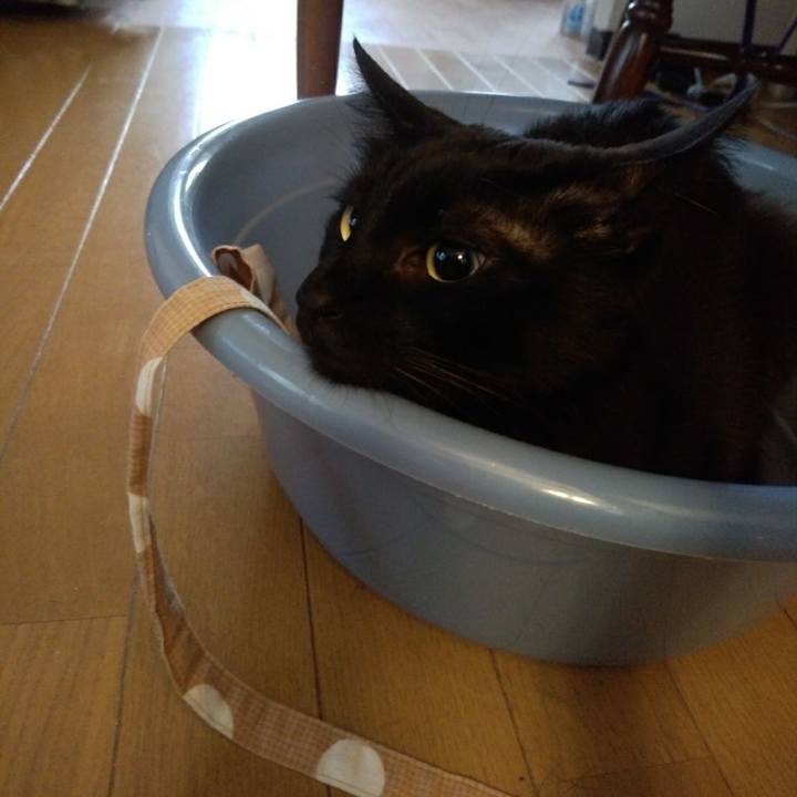 Afa52902 6a1a 447f 8ed9 c4f1328d4d93 1605319897690