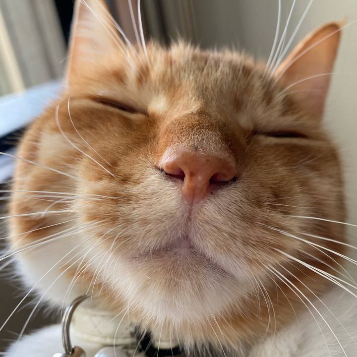 Afa59216 e19f 45ae ac33 b7dfdd98f917 1621080184920