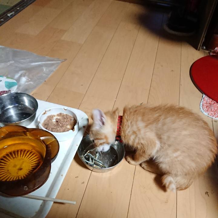 Afa594d6 4fa6 4ceb 94f8 c94735ed0b12 1630355494748