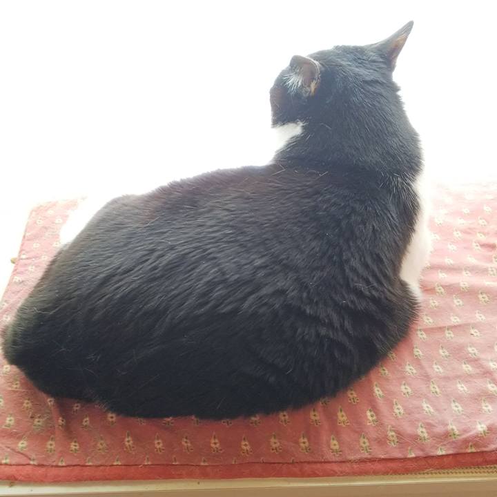 Afa59a18 95aa 45fa 84be 43edef4909ca 1554950512288