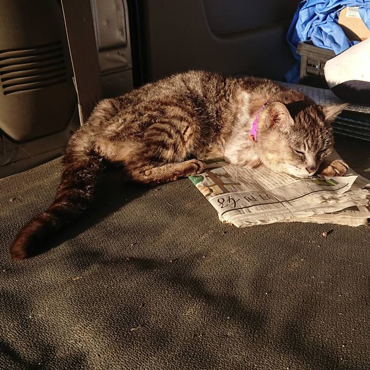 Afa5aae5 68e6 4c56 8999 be3735e5be5d 1598305695479