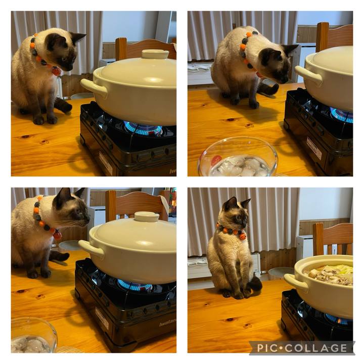 Afa5c26d 08ec 4003 8031 053c75280e1a 1727688425745