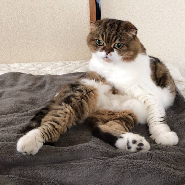 Afa5ce4a 7812 45e3 b153 dded090d2812 1543377912787