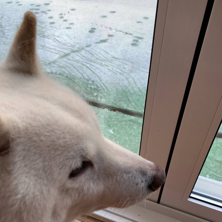 Afa5ff75 1914 4a08 9ad8 828b9f1da7fc 1668572296440